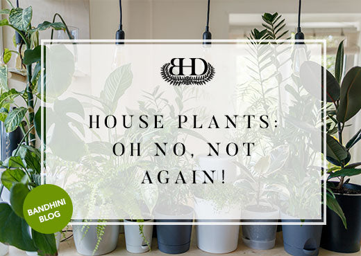 Oh No... Not House Plants!